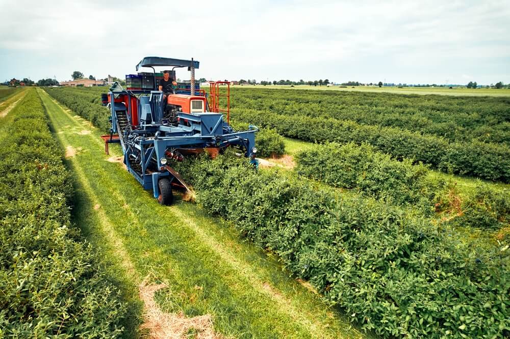 Consórcio rural: o caminho para o progresso no campo